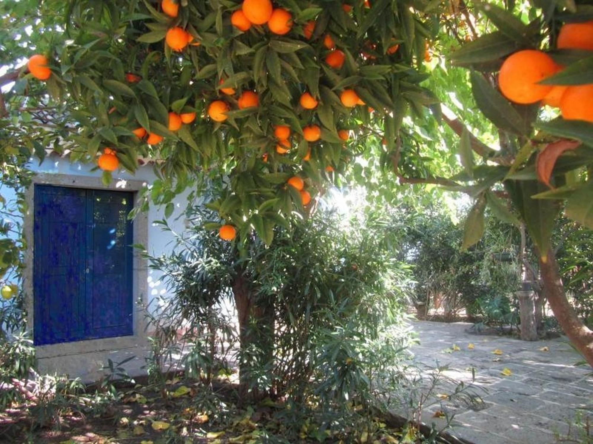 Come In Sicily La Pietra Monaca Apartamento Acireale Quarto foto